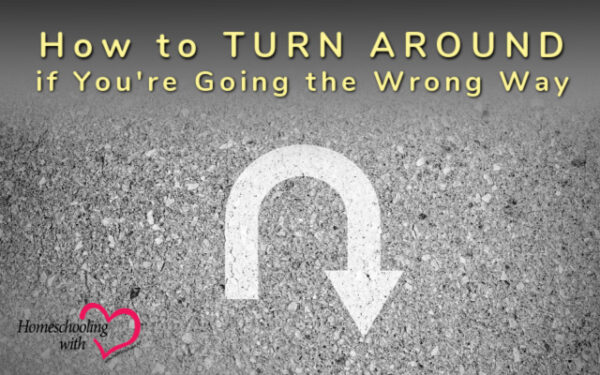 How to Turn Around if You're Going the Wrong Way