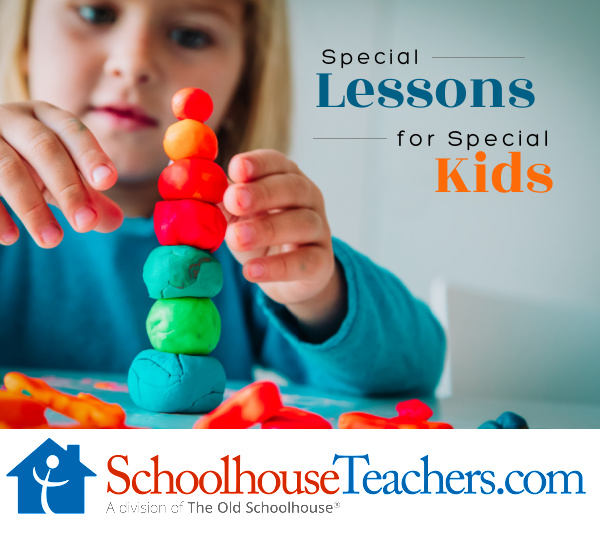 A child with special needs building with clay and the title Special Lessons for Special Kids