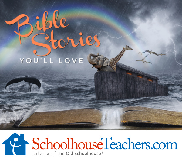 Noah's Ark in a storm and massive Bible open on the shore with the words Bible Stories You'll Love