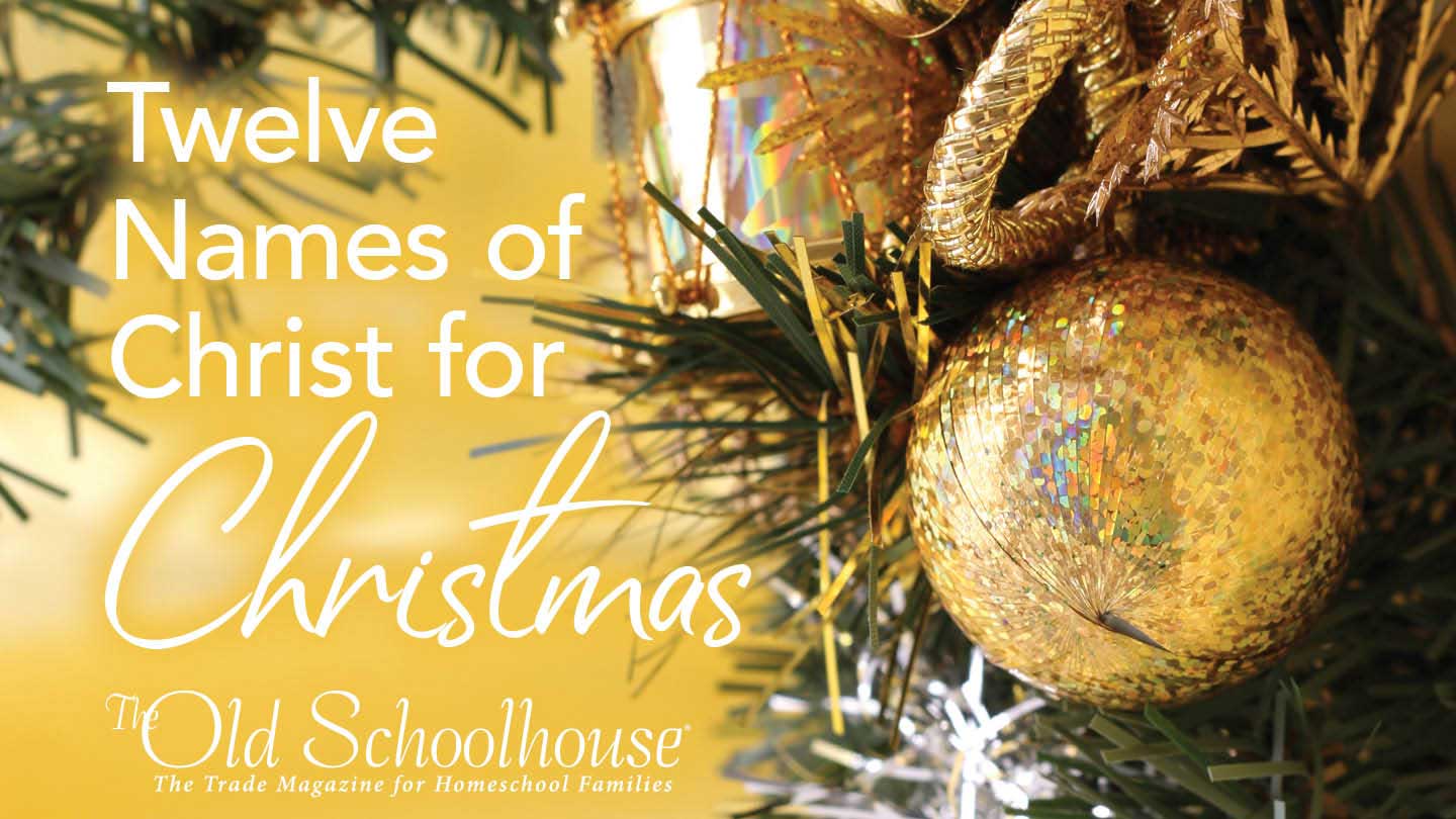 Christmas Oranges The Old Schoolhouse®