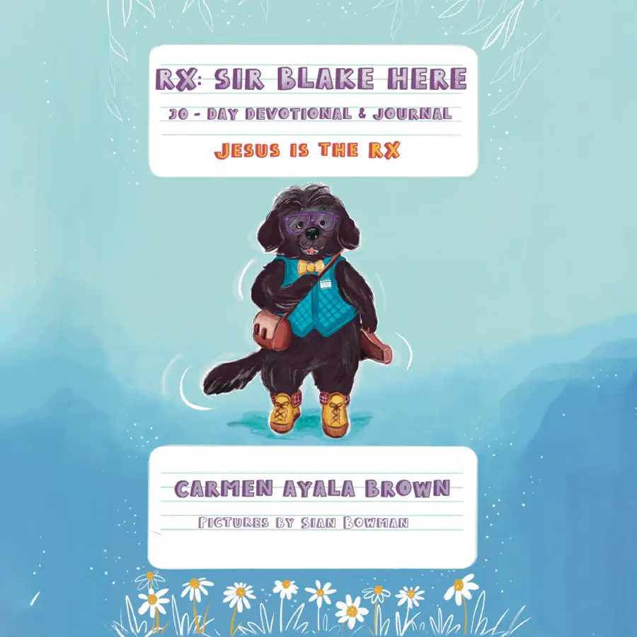 rx-sir-blake-here-llc Rx: Sir Blake Here, LLC