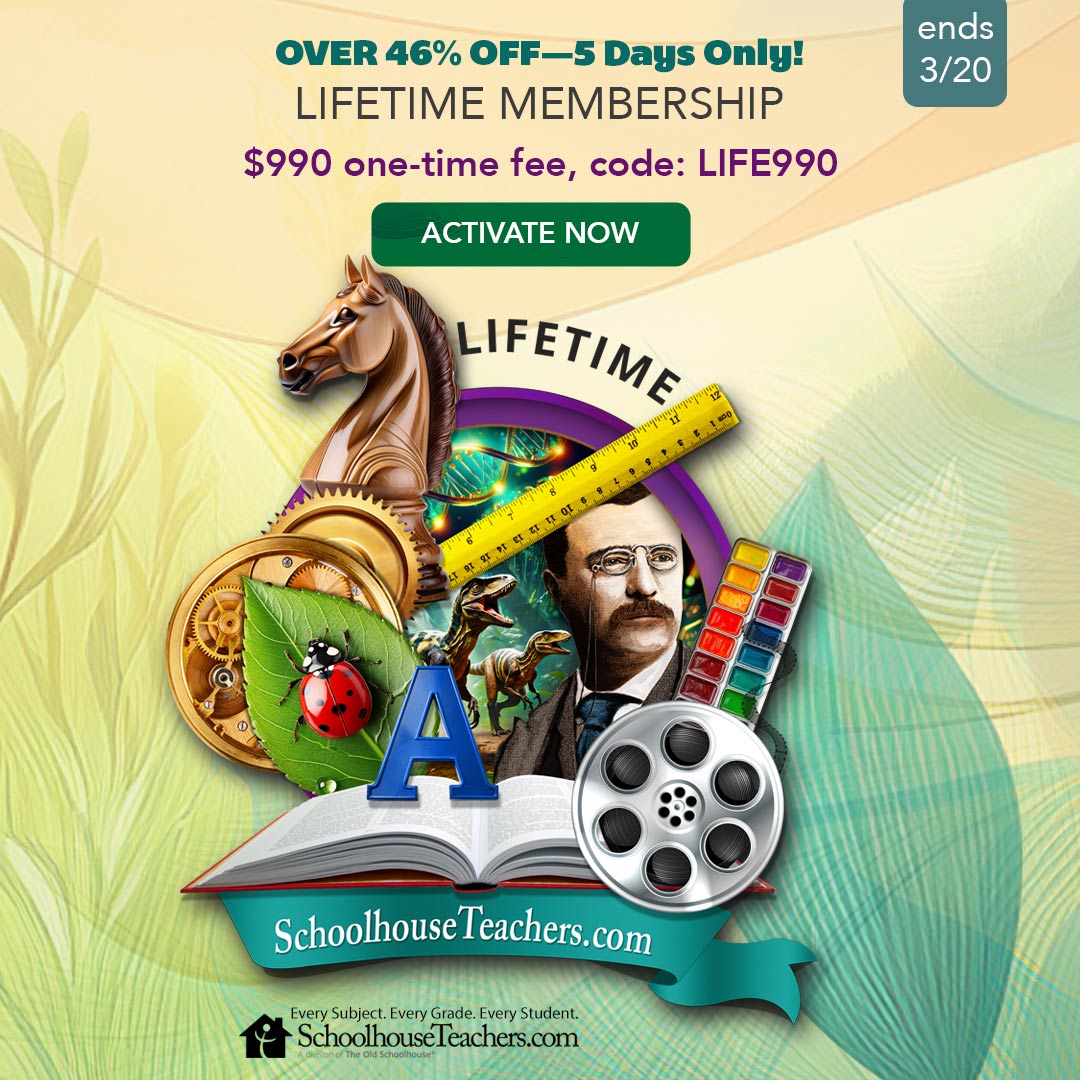 ST-26-Mar-Lifetime-Mar25-thm-2-instagram